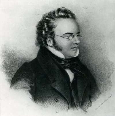 Porträt von Franz Schubert (1797-1828) von Unbekannt Unbekannt